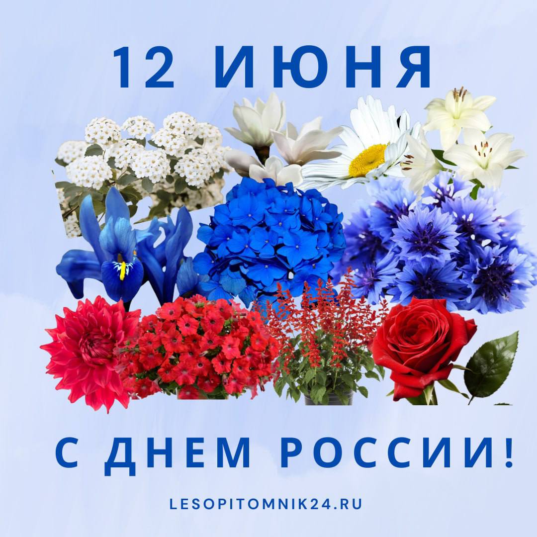 День России! День России!